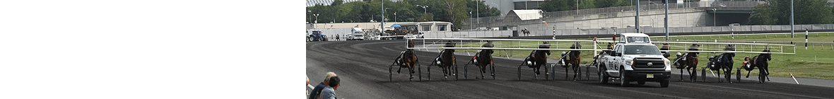Talking Horse Racing