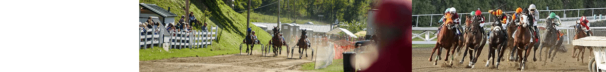 Talking Horse Racing