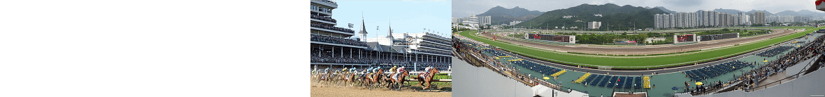 Talking Horse Racing