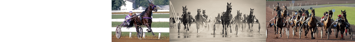 Talking Horse Racing