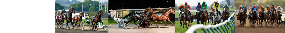 Talking Horse Racing